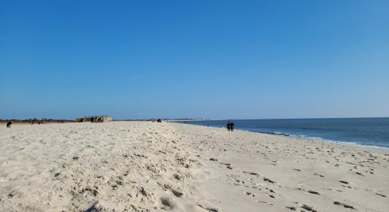 Cape May Beach