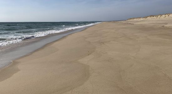 Long Point Beach