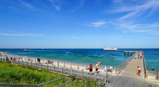 Oak Bluffs Town Beach