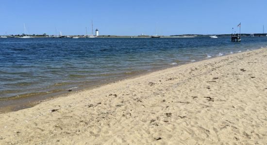 Chappaquiddick Beach