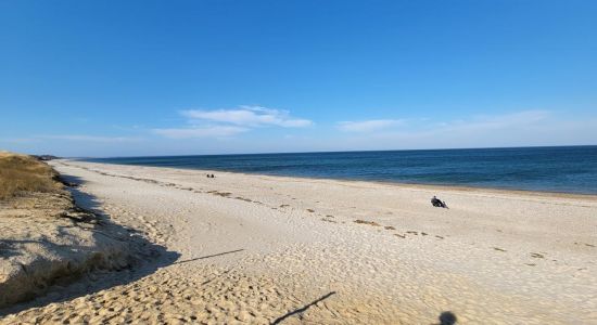 Playa de Sandy Neck