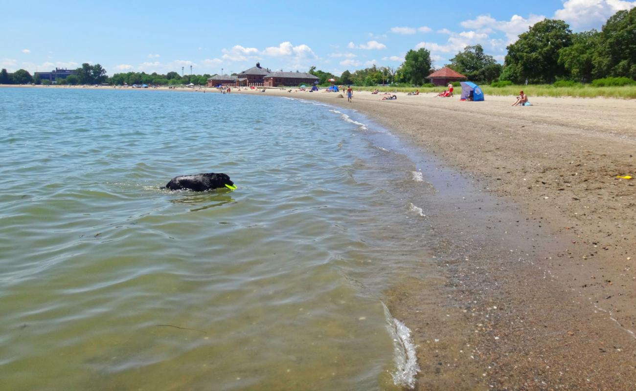 Foto de Carson beach con arena brillante superficie