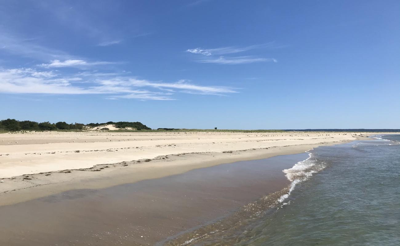 Foto de Sandy Point beach con arena brillante superficie