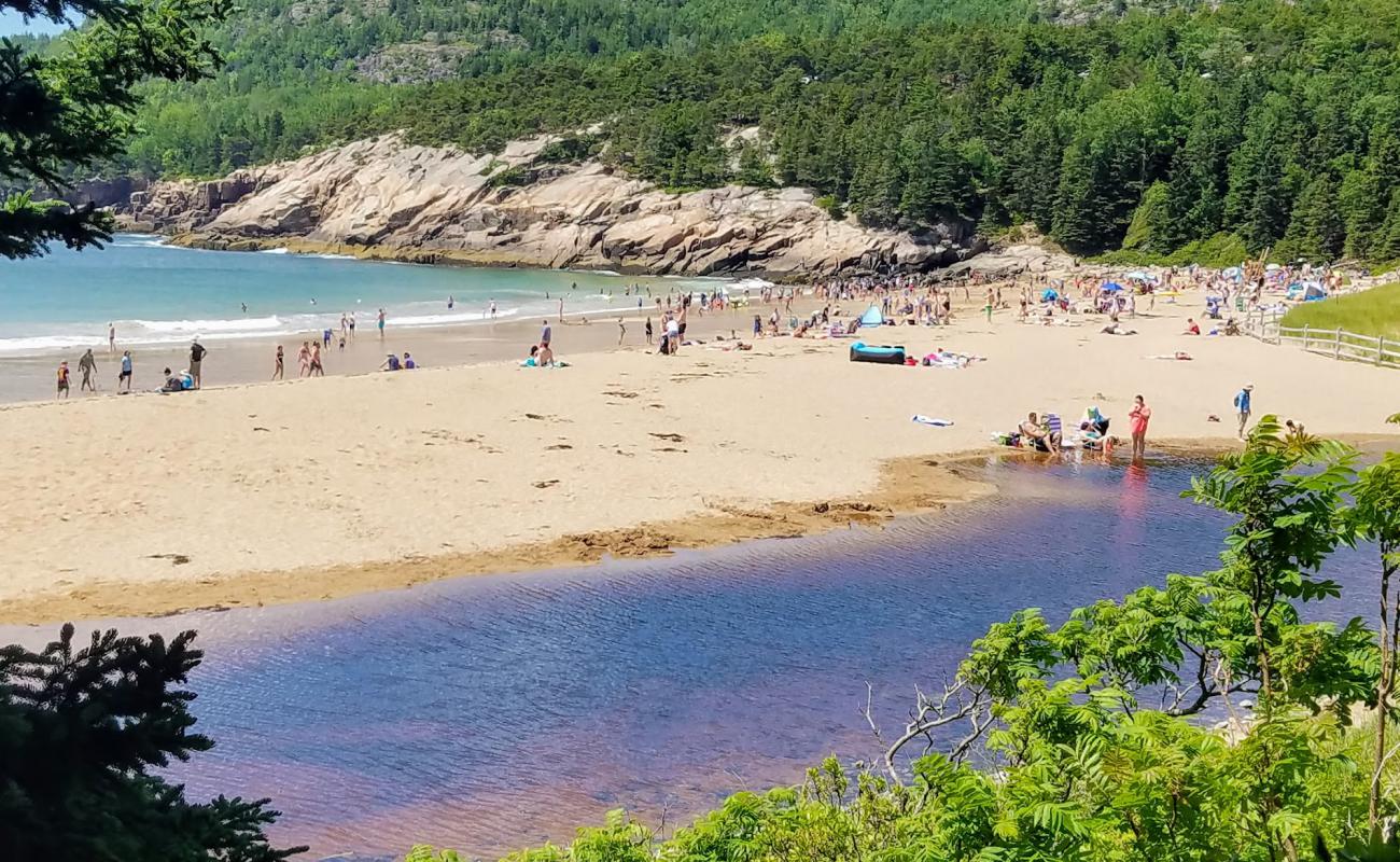 Foto de Playa de Arena con arena brillante superficie