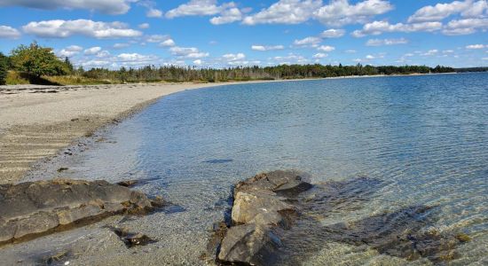 Lamoine beach