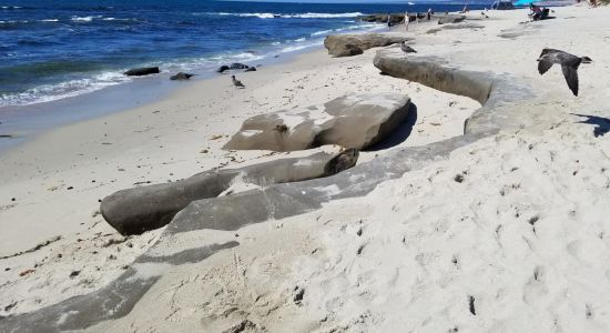 La Jolla Tide Pools