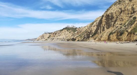 Torrey Pines City beach