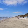 Torrey Pines beach