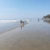 Leucadia beach