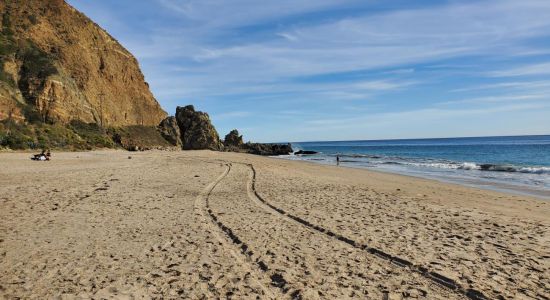 Sycamore Beach