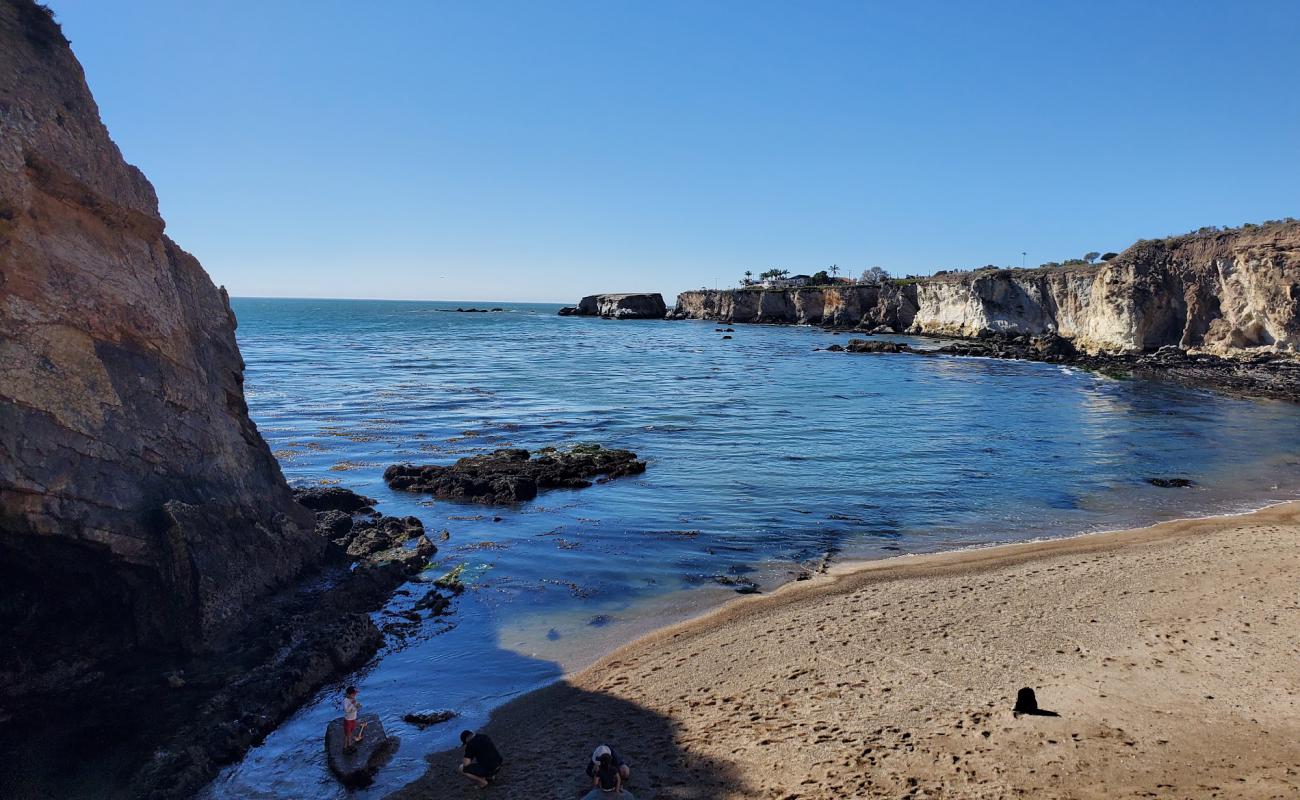 Foto de Dinosaur Caves beach con arena fina y guijarros superficie