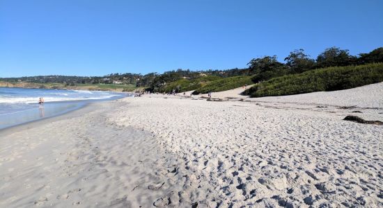 Carmel Beach