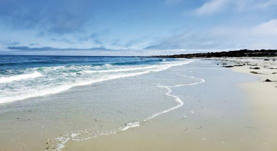 Asilomar Beach