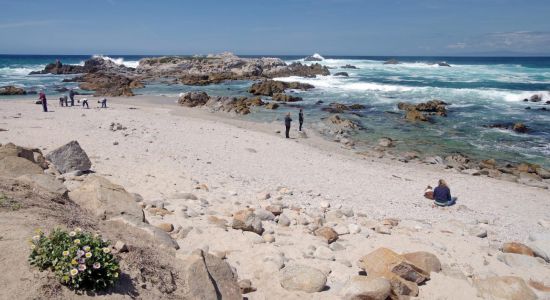 Point Pinos beach