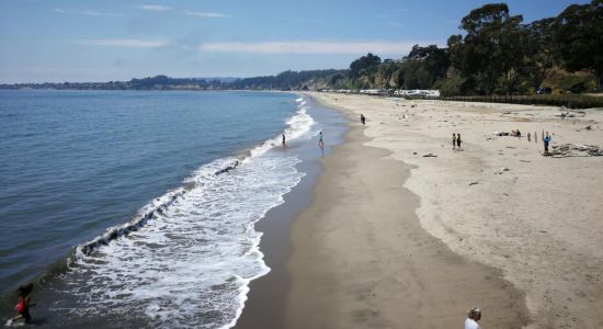 Seacliff Beach