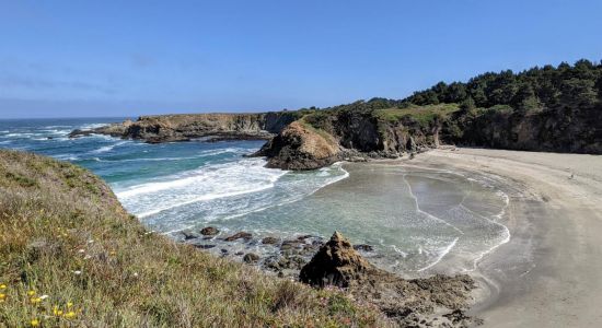 Jug Handle Beach