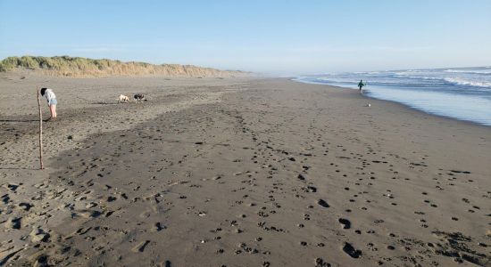 Mad River Beach