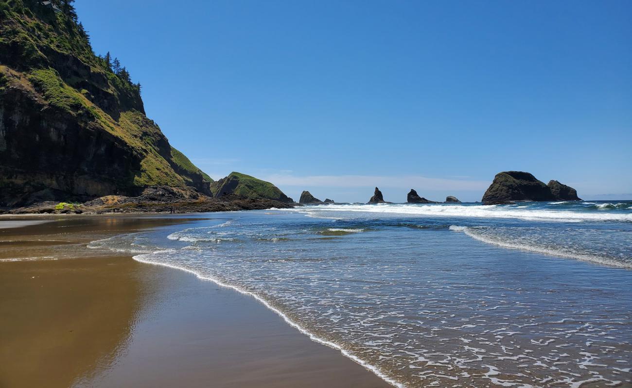 Foto de Larson Creek beach Oregon con arena fina y guijarros superficie