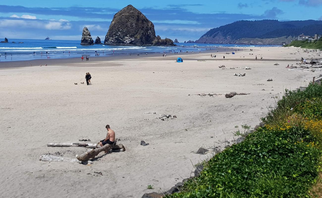 Foto de Playa de Cannon con brillante arena fina superficie