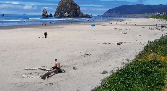 Playa de Cannon