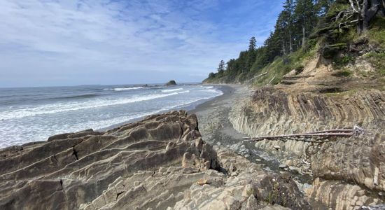 Kalaloch Beach II