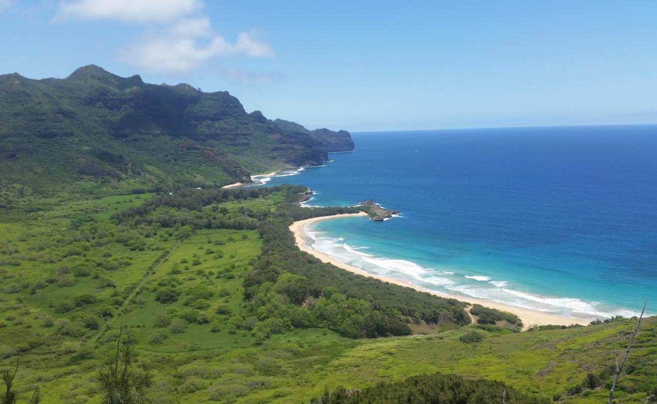 Foto de Kipu Kai Beach con brillante arena fina superficie