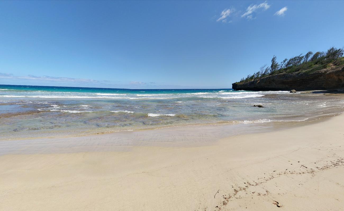 Foto de Ha'ula Beach zona salvaje