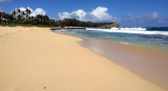 Shipwreck Beach