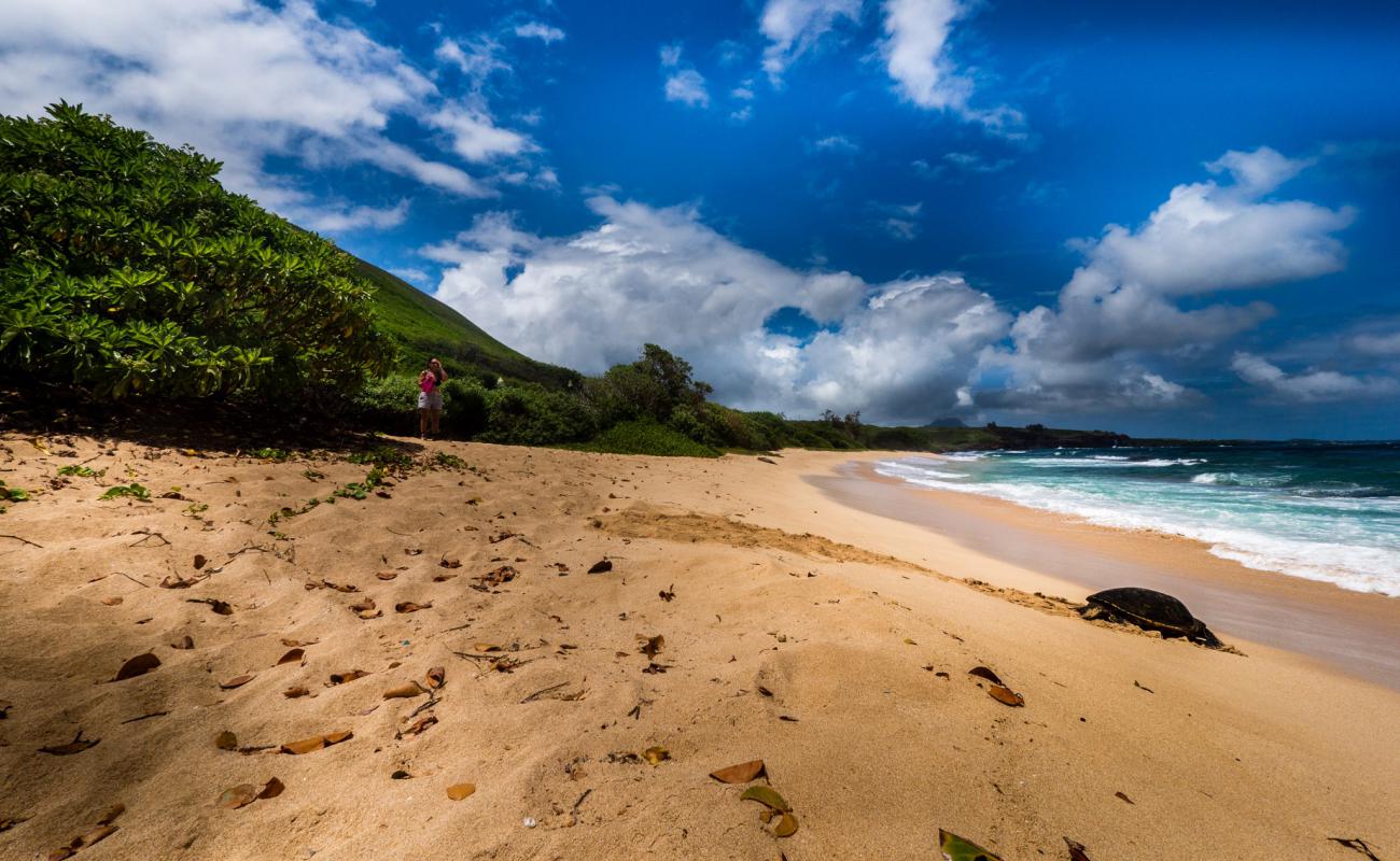 Foto de Palama Beach con brillante arena fina superficie