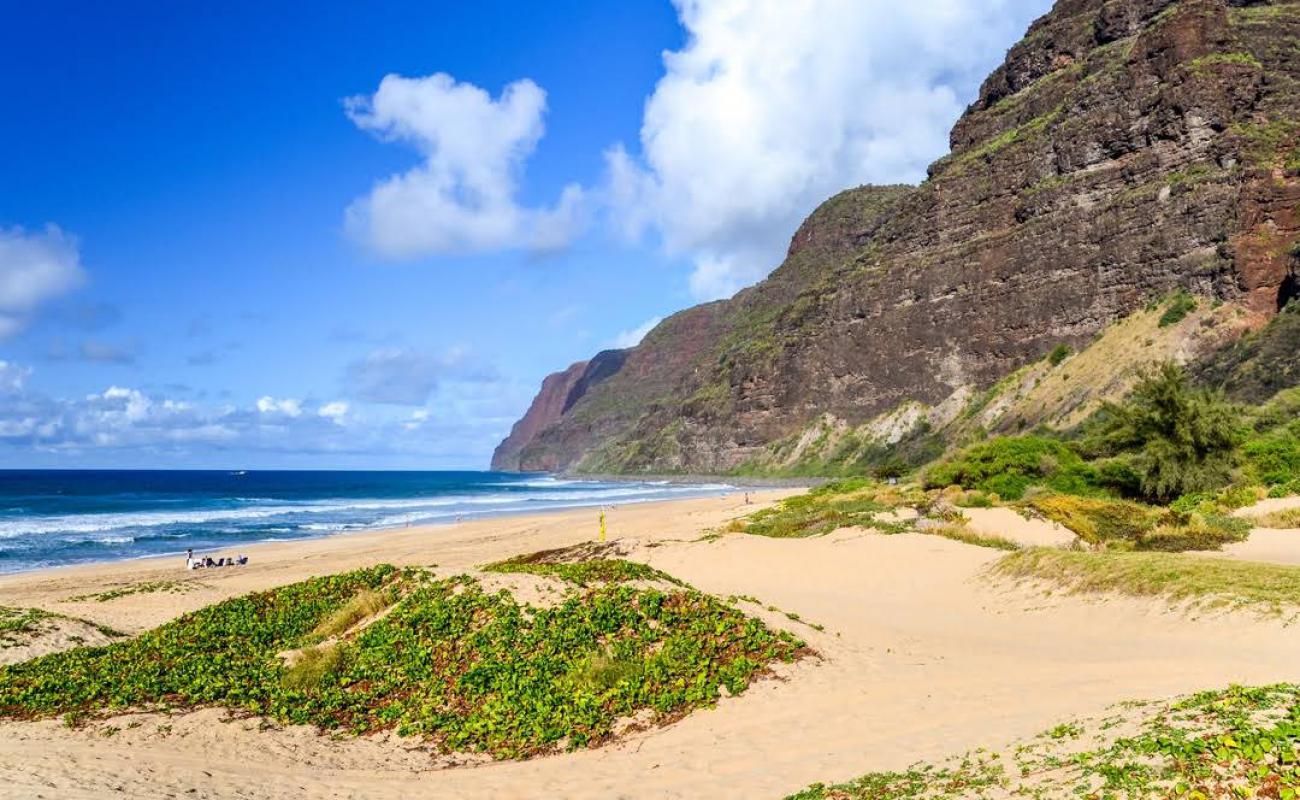 Foto de Polihale State Beach con arena brillante superficie