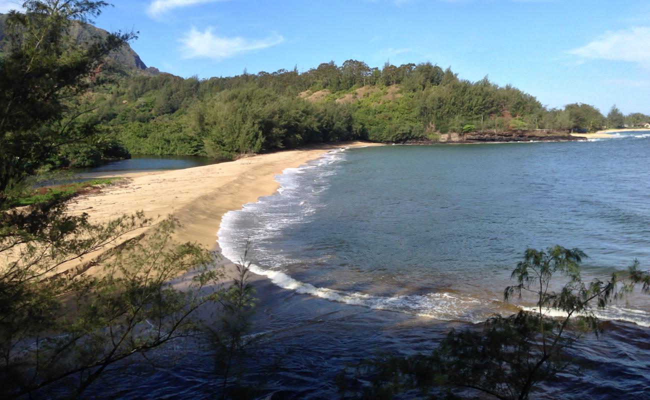 Foto de Wainiha Beach con arena brillante superficie