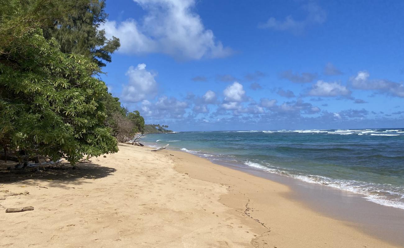 Foto de Anahola Beach II con arena brillante superficie