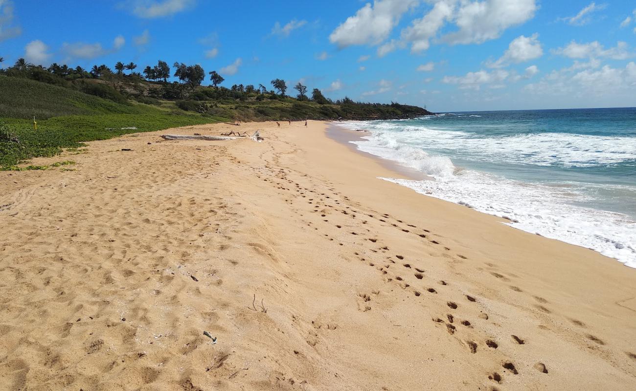 Foto de Paliku Beach con arena brillante superficie