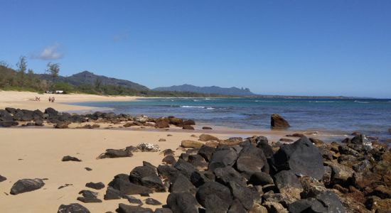 Kauai Beach