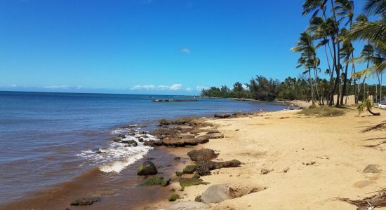 Hale'iwa Beach Park