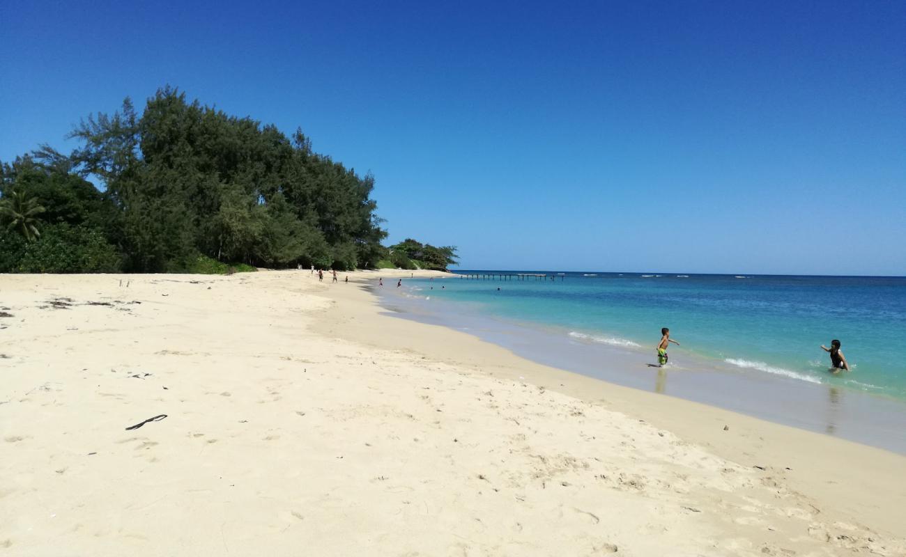 Foto de Pounder's Beach con arena brillante superficie