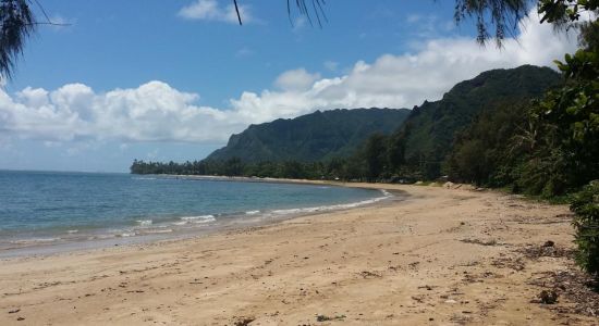 Punalu'u Beach Park