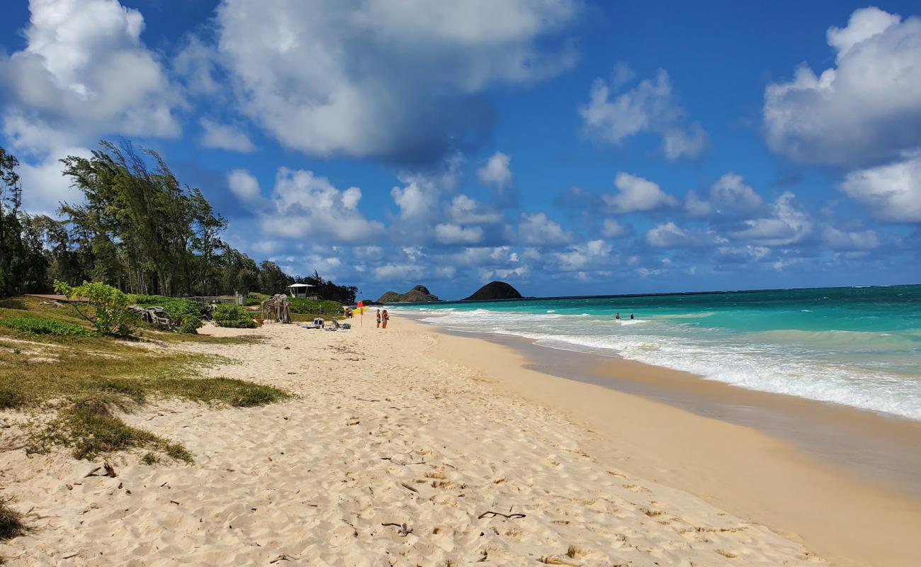 Foto de Bellows Field Beach Park con brillante arena fina superficie