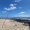 Sandy beach dunes