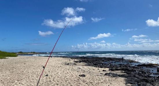 Sandy beach dunes