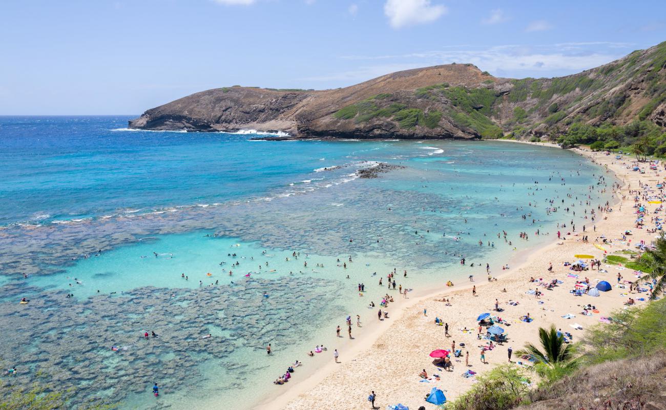 Foto de Hanauma Bay con brillante arena fina superficie