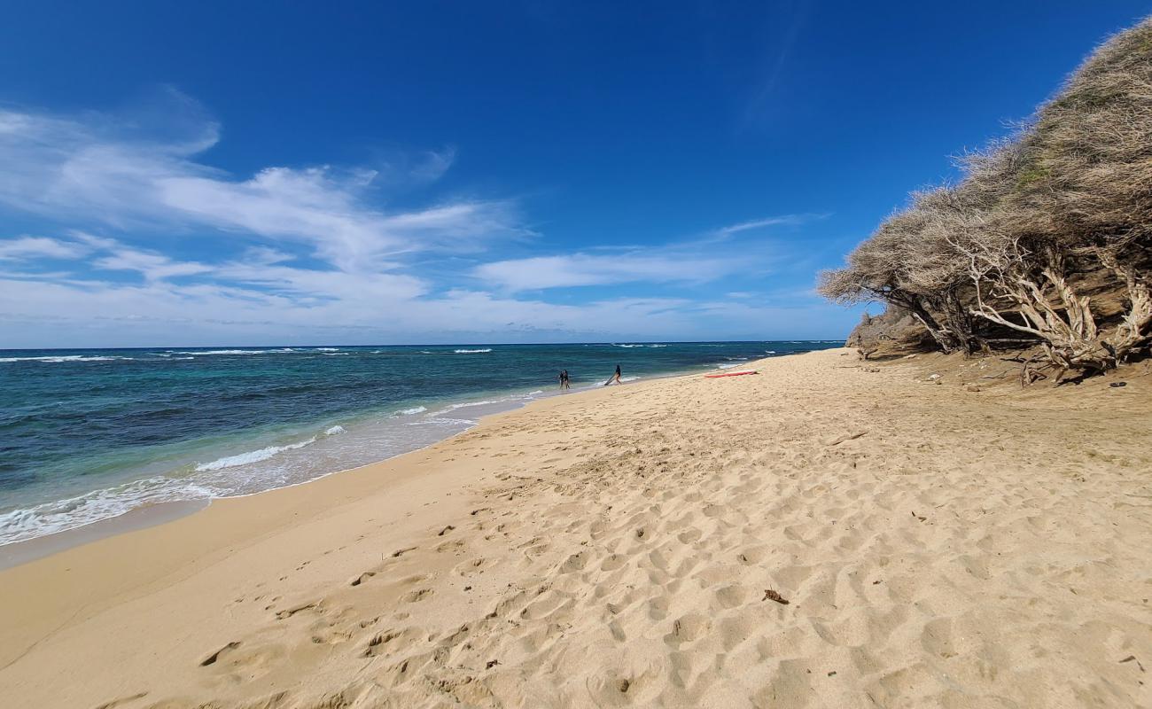 Foto de Diamond Head Beach Park con arena brillante y rocas superficie