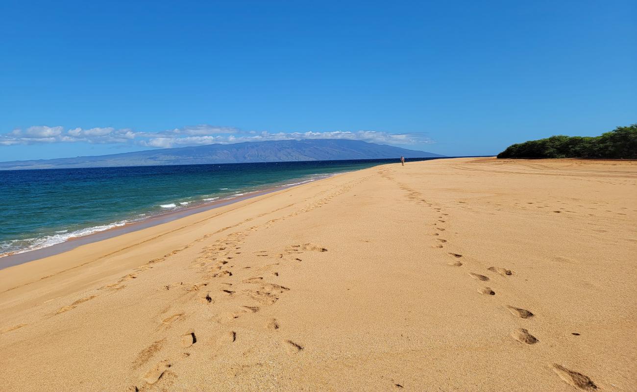 Foto de Polihua Beach con arena brillante superficie