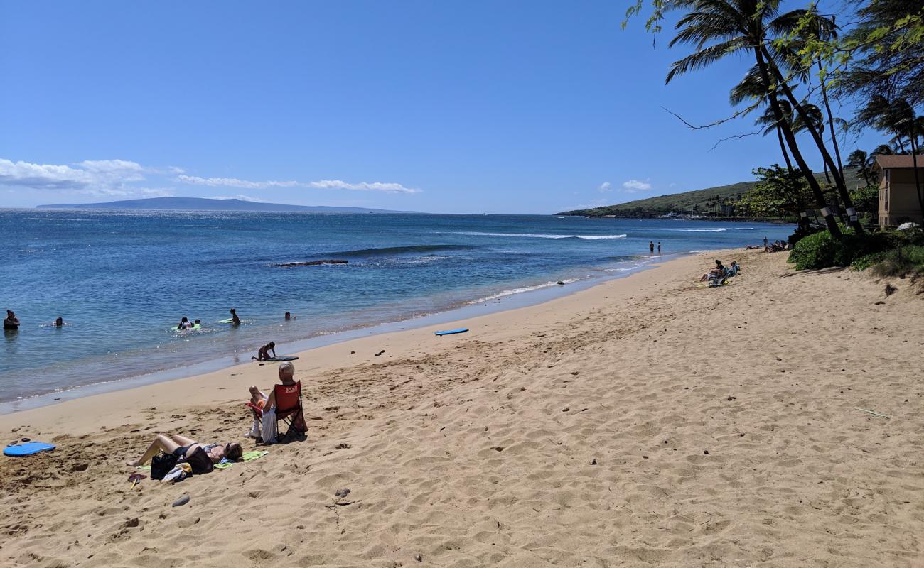 Foto de Coast Guard Beach con arena brillante superficie