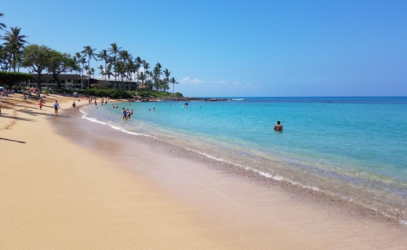 Foto de Playa de Napili Bay con brillante arena fina superficie