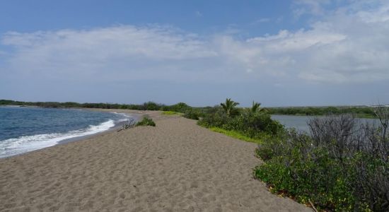 Honokohau Beach