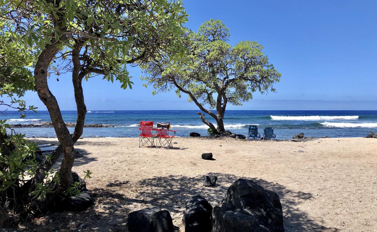 Foto de Pine Trees Beach con arena brillante y rocas superficie