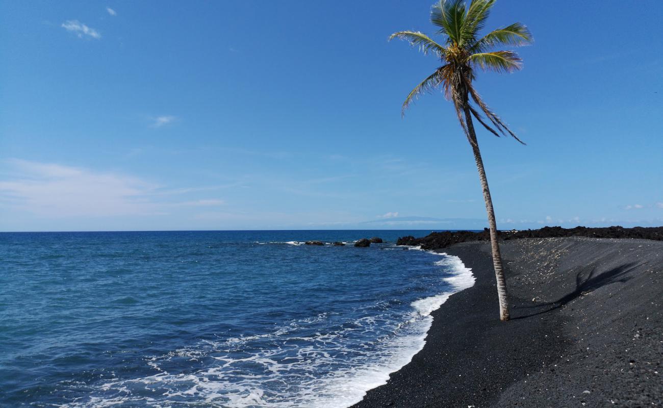 Foto de Lone Palm beach con guijarro gris superficie