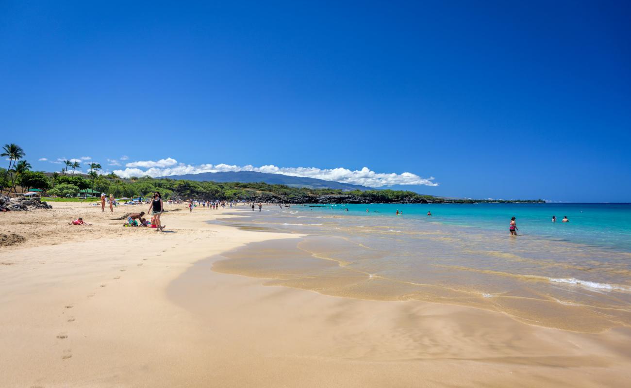 Foto de Hapuna Beach con brillante arena fina superficie