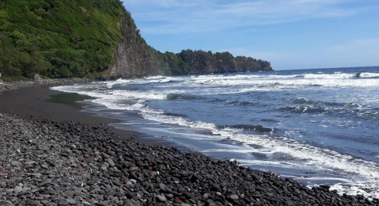 Pololu Trail